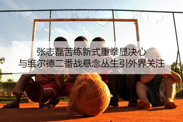 张志磊苦练新式重拳显决心 与维尔德二番战悬念丛生引外界关注